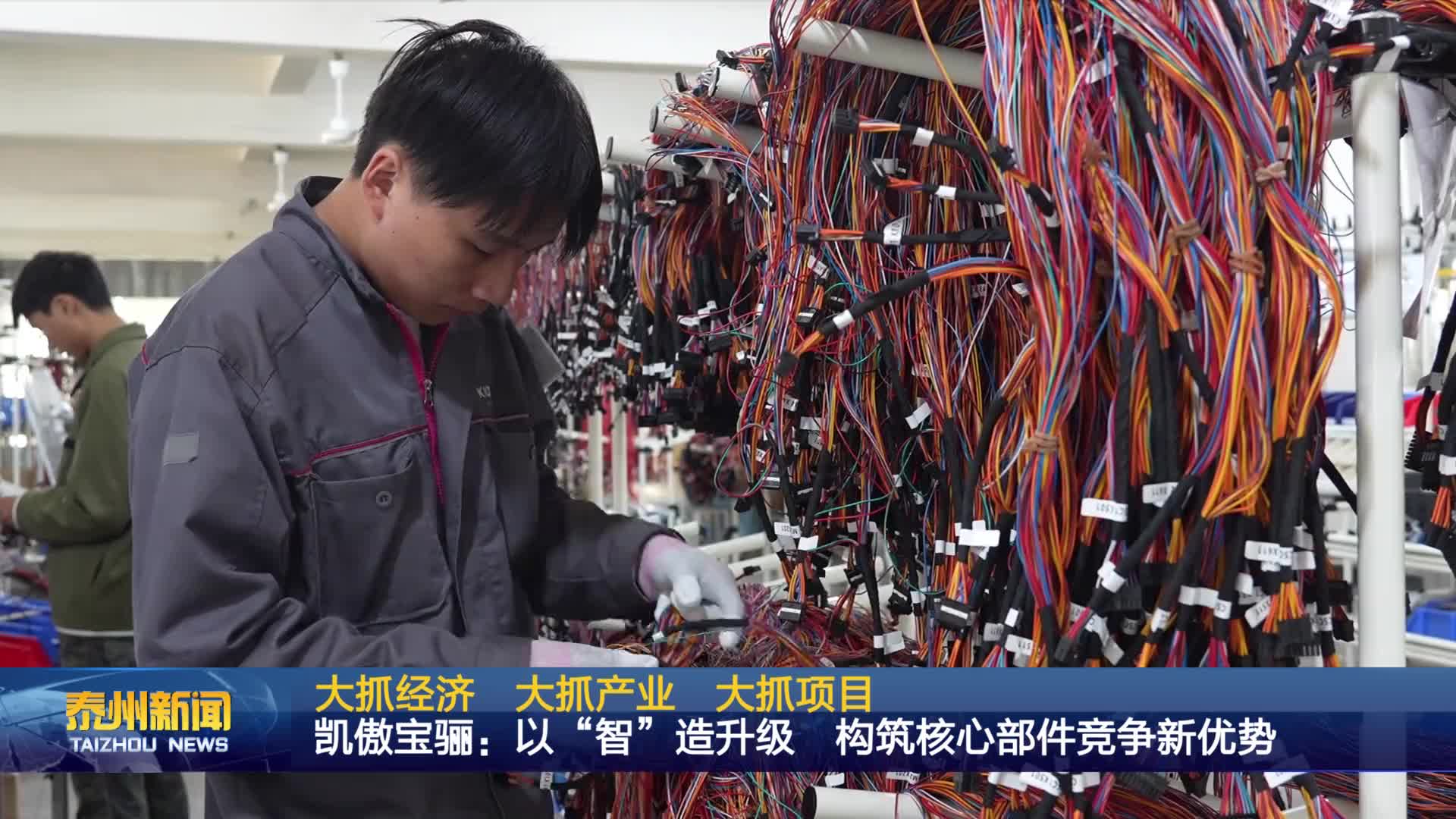 大抓经济  大抓产业  大抓项目  凯傲宝骊：以“智”造升级 构筑核心部件竞争新优势